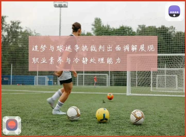 追梦与球迷争执裁判出面调解展现职业素养与冷静处理能力