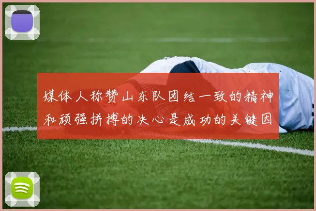 媒体人称赞山东队团结一致的精神和顽强拼搏的决心是成功的关键因素