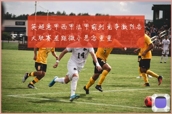 英超意甲西甲法甲前列竞争激烈各大联赛差距微小悬念重重