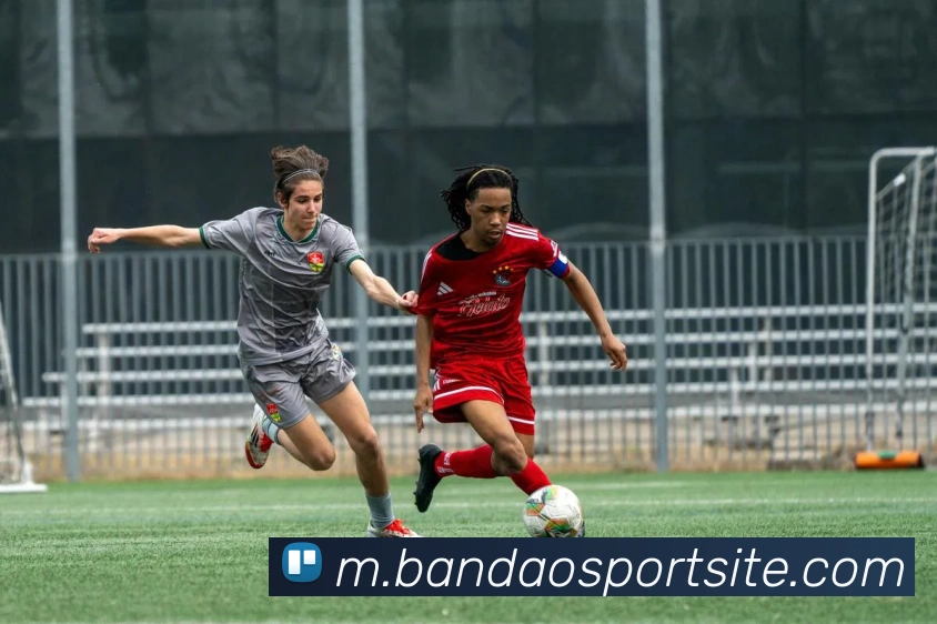 半岛体育平台生态图