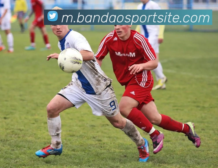 半岛体育APP 封面图